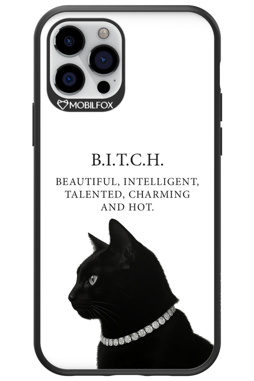 B. i. t. c. h. - Apple iPhone 12 Pro