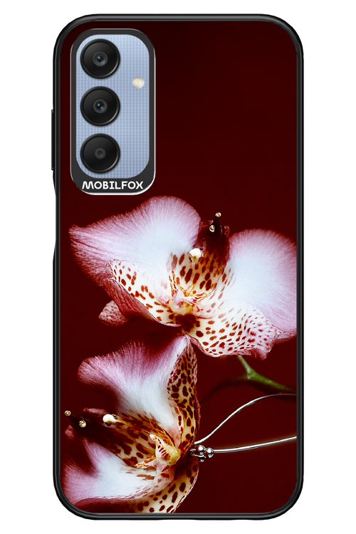 Leobloomy 2.0 - Samsung A25