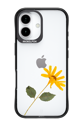 Pressed Flower - Apple iPhone 17