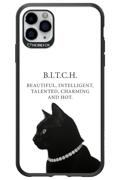 B. i. t. c. h. - Apple iPhone 11 Pro Max