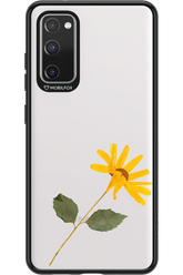 Pressed Flower - Samsung Galaxy S20 FE