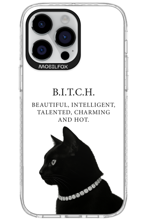 B. i. t. c. h. - Apple iPhone 14 Pro Max