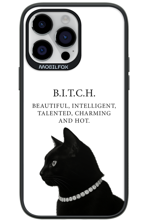 B. i. t. c. h. - Apple iPhone 14 Pro Max