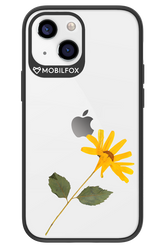 Pressed Flower - Apple iPhone 13 Mini