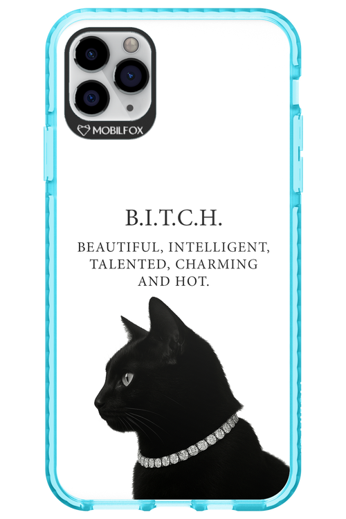 B. i. t. c. h. - Apple iPhone 11 Pro Max