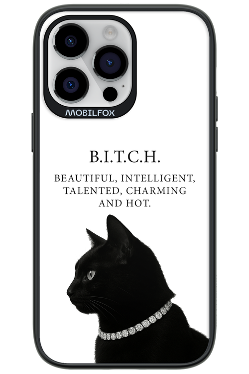 B. i. t. c. h. - Apple iPhone 14 Pro Max