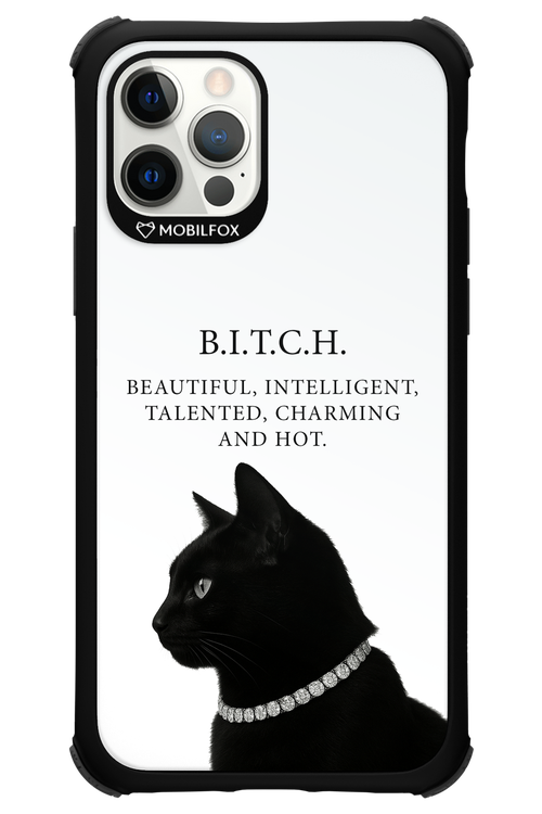 B. i. t. c. h. - Apple iPhone 12 Pro