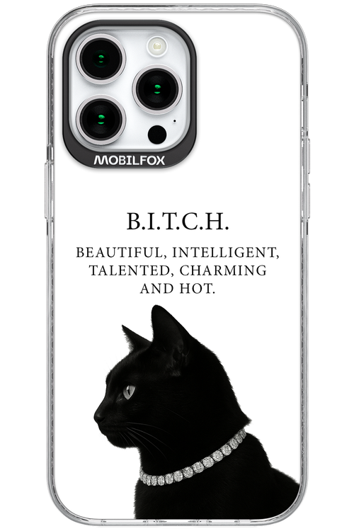 B. i. t. c. h. - Apple iPhone 15 Pro Max