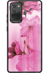 Floro - Samsung Galaxy Note 20