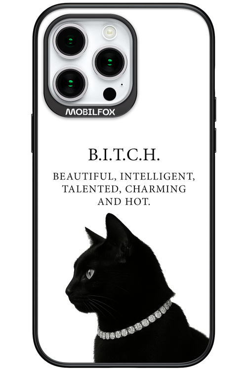 B. i. t. c. h. - Apple iPhone 15 Pro Max