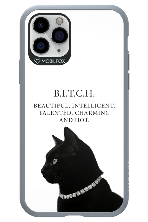 B. i. t. c. h. - Apple iPhone 11 Pro