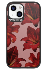 Amaryllis Mist - Apple iPhone 13 Mini