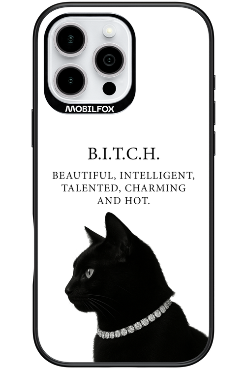 B. i. t. c. h. - Apple iPhone 16 Pro Max