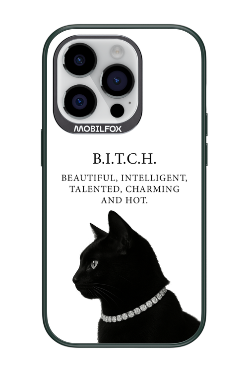 B. i. t. c. h. - Apple iPhone 14 Pro