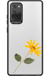 Pressed Flower - Samsung Galaxy Note 20