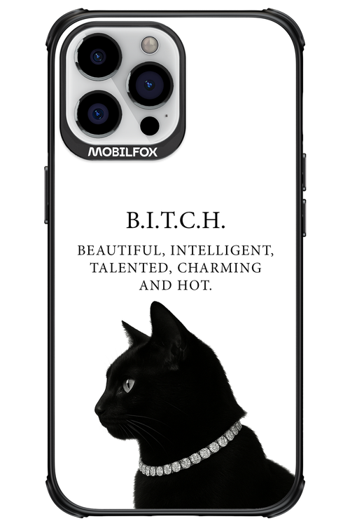 B. i. t. c. h. - Apple iPhone 13 Pro Max