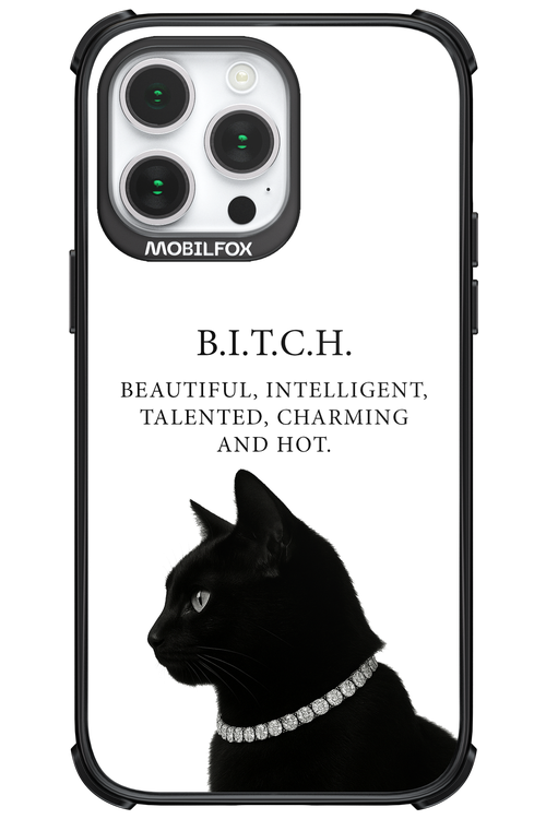 B. i. t. c. h. - Apple iPhone 14 Pro Max