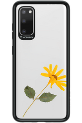 Pressed Flower - Samsung Galaxy S20