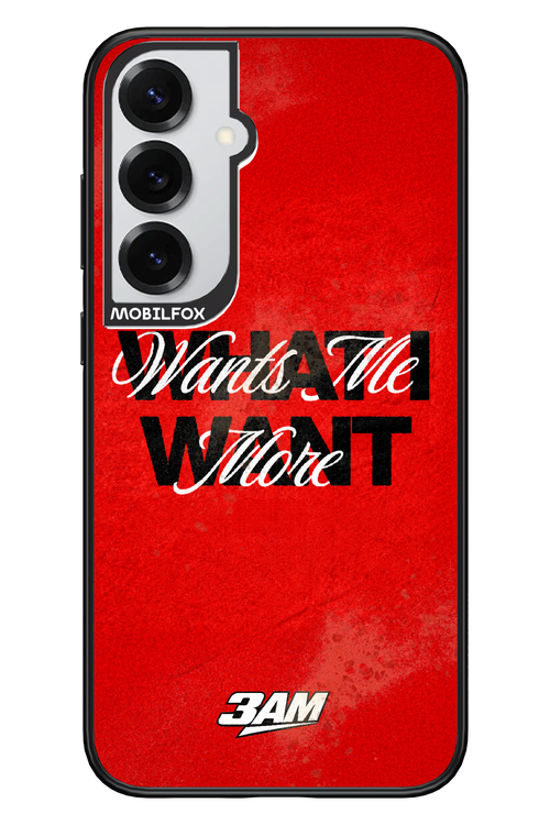 WHAT I WANT 2.0 - Samsung S25+