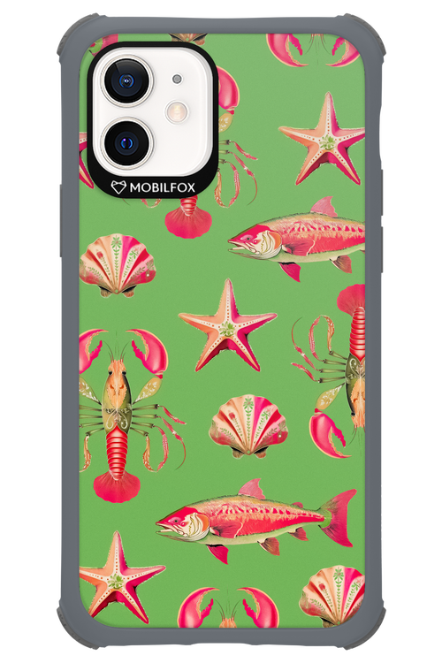 Sea Stars - Apple iPhone 12