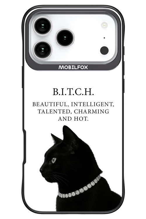 B. i. t. c. h. - Apple iPhone 17 Pro Max