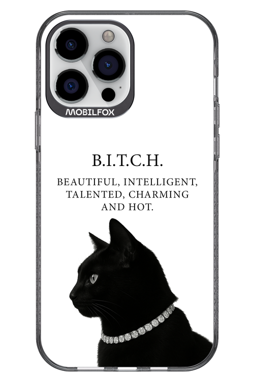 B. i. t. c. h. - Apple iPhone 13 Pro Max