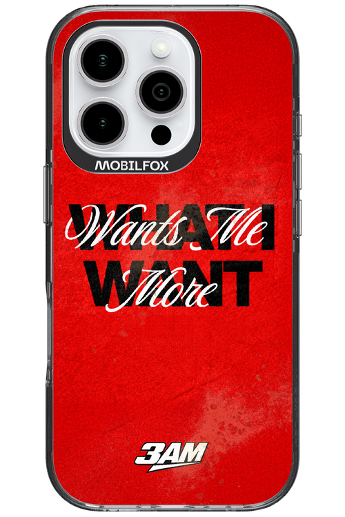 WHAT I WANT 2.0 - Apple iPhone 16 Pro
