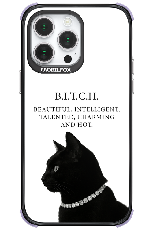 B. i. t. c. h. - Apple iPhone 14 Pro Max