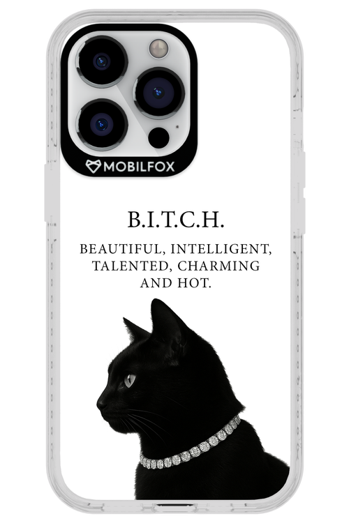 B. i. t. c. h. 2.0 - Apple iPhone 13 Pro