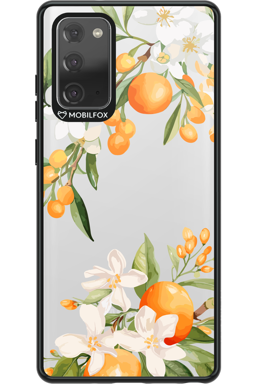 Amalfi Orange 2.0 - Samsung Galaxy Note 20