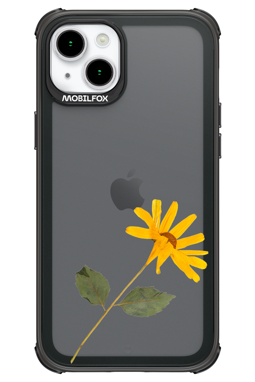 Pressed Flower - Apple iPhone 15 Plus