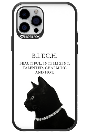 B. i. t. c. h. - Apple iPhone 12 Pro