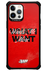 WHAT I WANT 2.0 - Apple iPhone 12 Pro Max