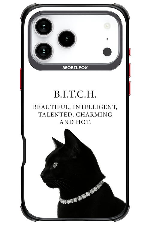 B. i. t. c. h. - Apple iPhone 17 Pro Max