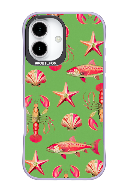 Sea Stars - Apple iPhone 17