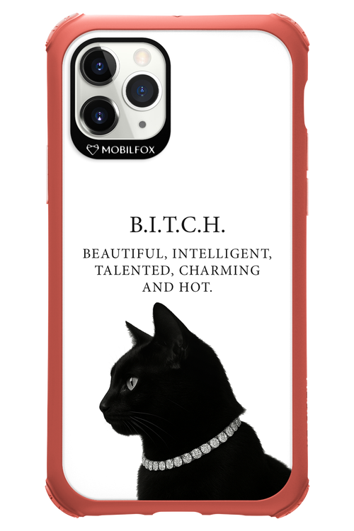 B. i. t. c. h. - Apple iPhone 11 Pro