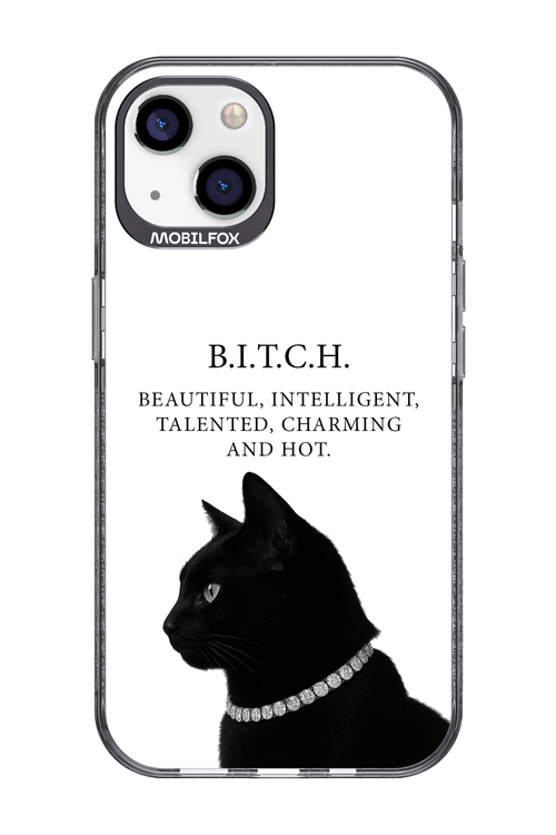 B. i. t. c. h. 2.0 - Apple iPhone 13