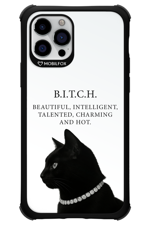 B. i. t. c. h. - Apple iPhone 12 Pro