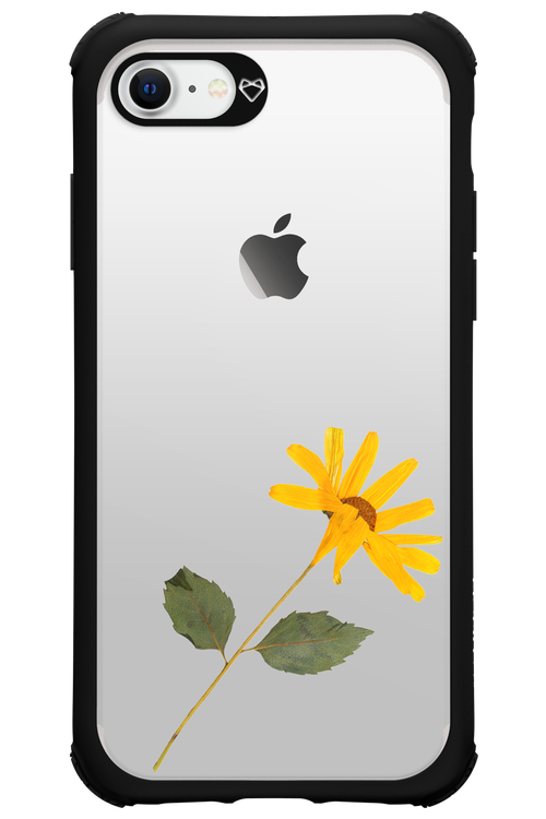 Pressed Flower - Apple iPhone 7