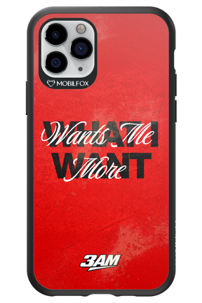 WHAT I WANT 2.0 - Apple iPhone 11 Pro