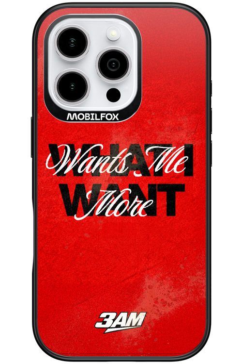 WHAT I WANT 2.0 - Apple iPhone 16 Pro