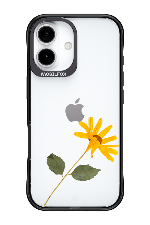 Pressed Flower - Apple iPhone 17