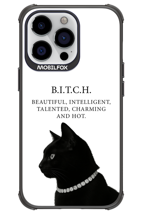 B. i. t. c. h. - Apple iPhone 13 Pro