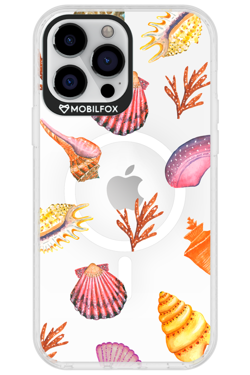 Sea Shells - Apple iPhone 13 Pro Max