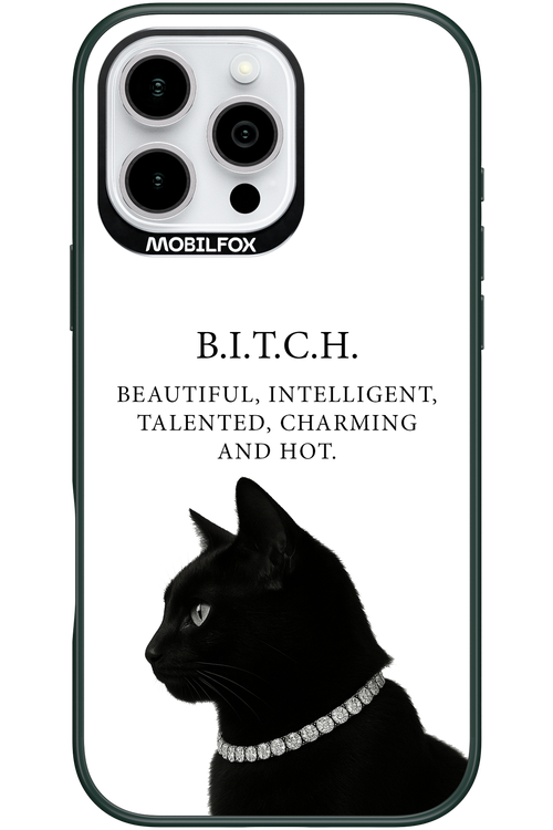 B. i. t. c. h. - Apple iPhone 16 Pro Max