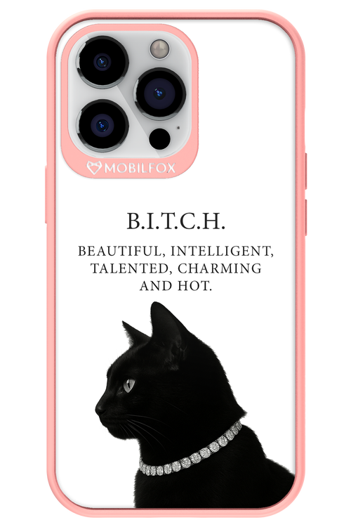 B. i. t. c. h. - Apple iPhone 13 Pro