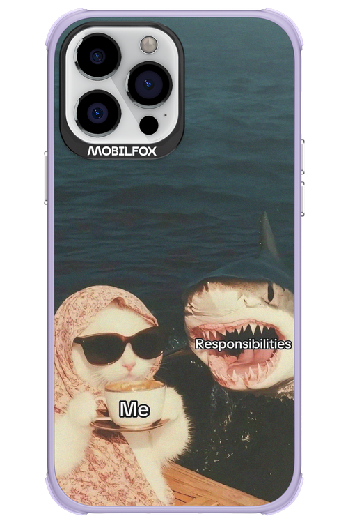 Responsibilities - Apple iPhone 13 Pro Max