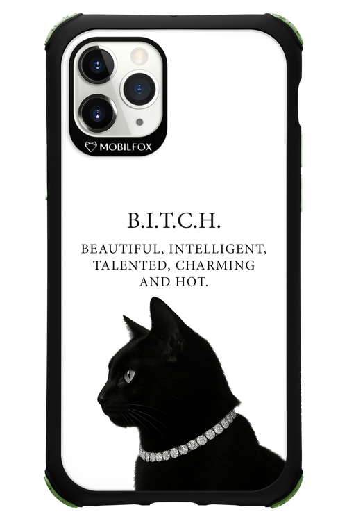 B. i. t. c. h. 2.0 - Apple iPhone 11 Pro
