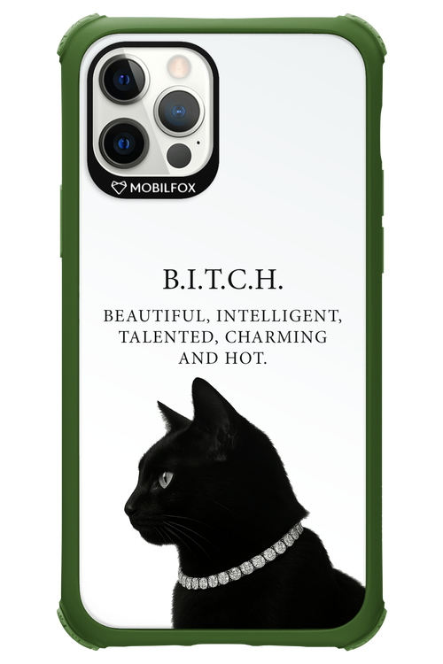 B. i. t. c. h. - Apple iPhone 12 Pro