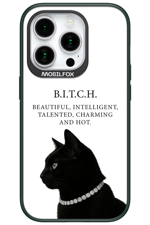 B. i. t. c. h. - Apple iPhone 15 Pro